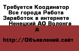 Требуется Коодинатор - Все города Работа » Заработок в интернете   . Ненецкий АО,Волонга д.